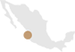 nuevo nayarit