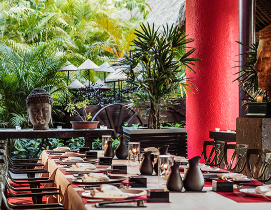 vidanta-general-dining-teppanyaki-gong