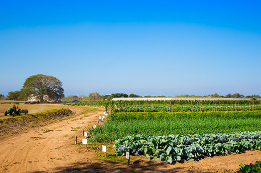 Grupo Vidanta­—the leading resort and tourism infrastructure developer in Mexico and Latin America—is